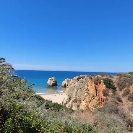 Rocha Dreamhouse 2 - Folgado & Borges Lda Portimão